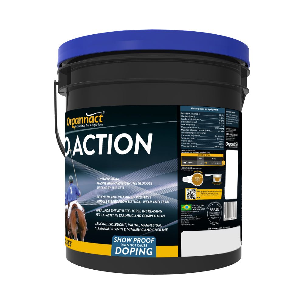 Organnact Mio Action Horse Supplement by organnact