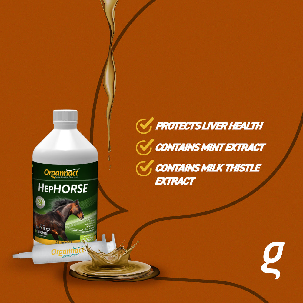 Organnact Hephorse 16.9 fl oz (500ml) Horse Supplement by organnact