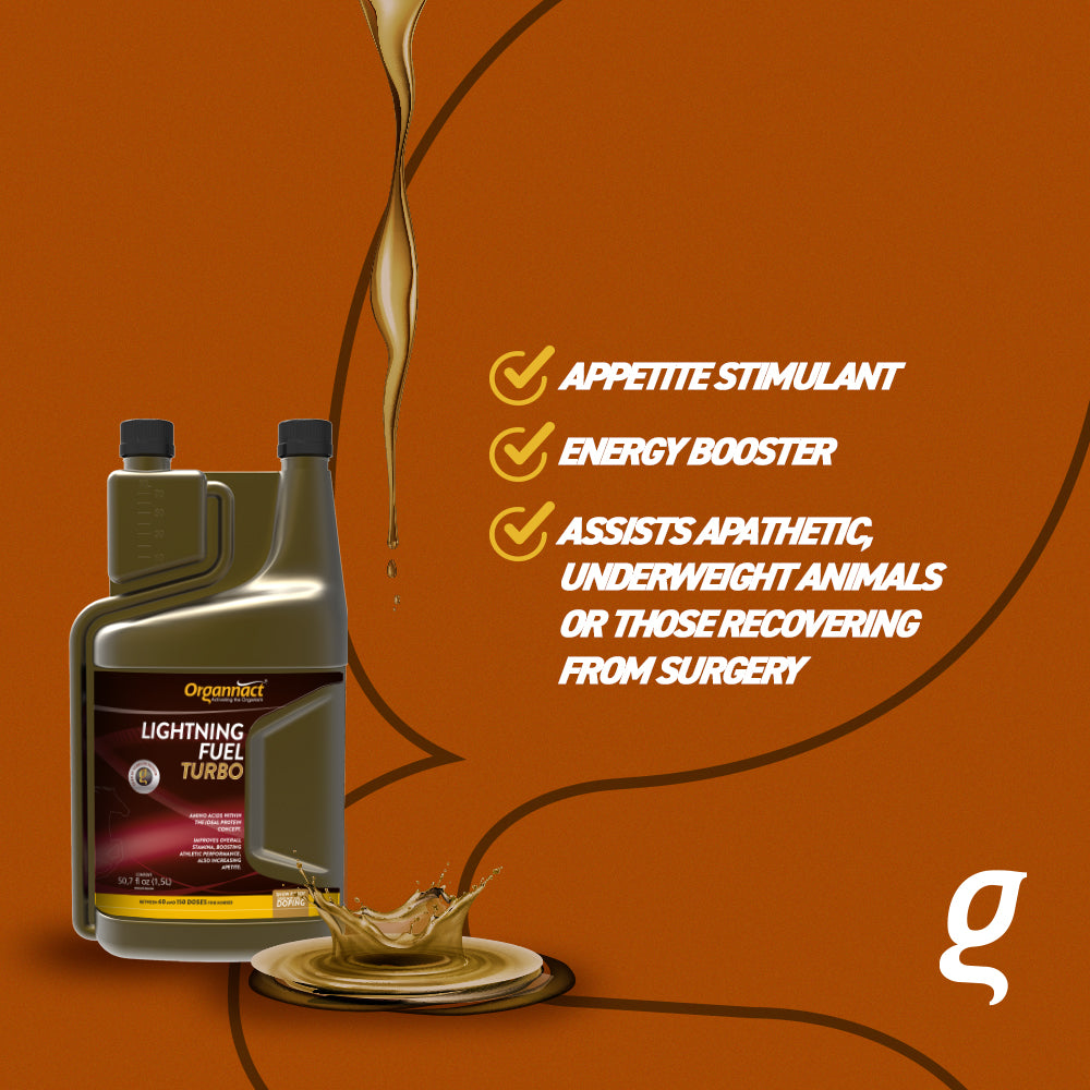 Organnact Lightning Fuel Turbo Horse Supplement by organnact