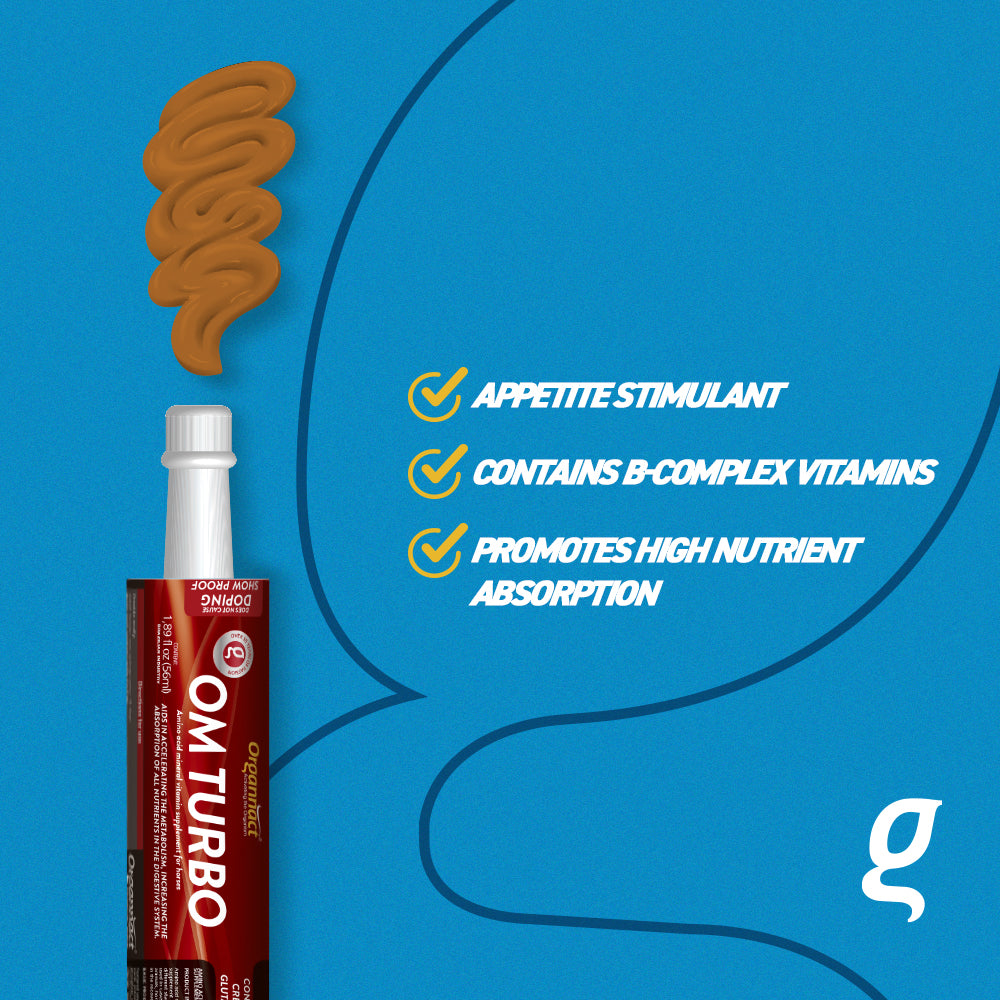 Organnact KIT Turbo Boost