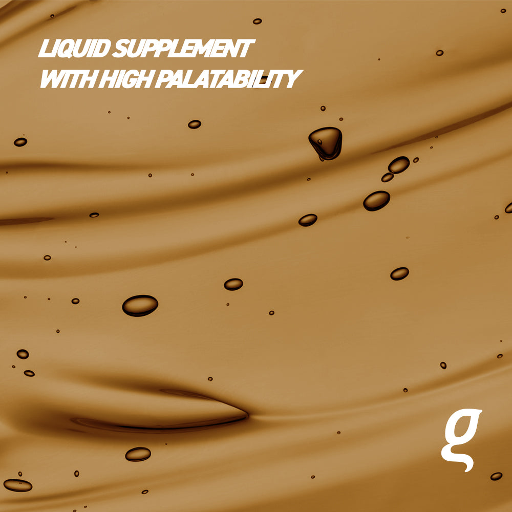 Organnact Lightning Fuel Turbo Horse Supplement by organnact