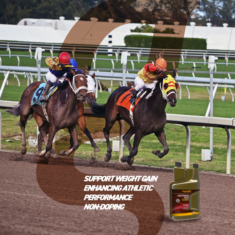 Organnact Lightning Fuel Turbo Horse Supplement by organnact