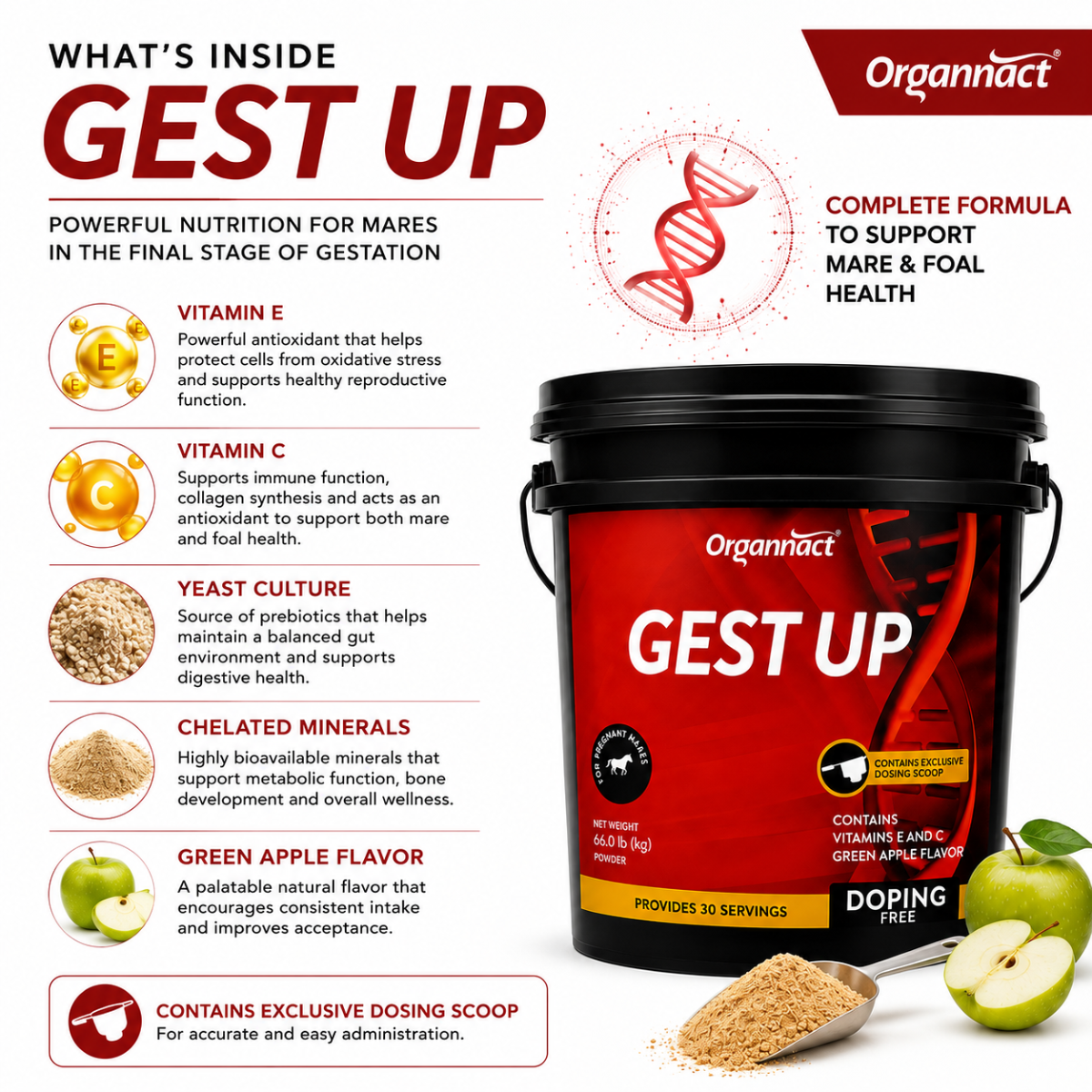 Organnact Gest UP Horse Supplement – Late Gestation Support for Pregnant Mares, Foal Readiness, Gut & Immune Support – Green Apple Powder, 30 Doses