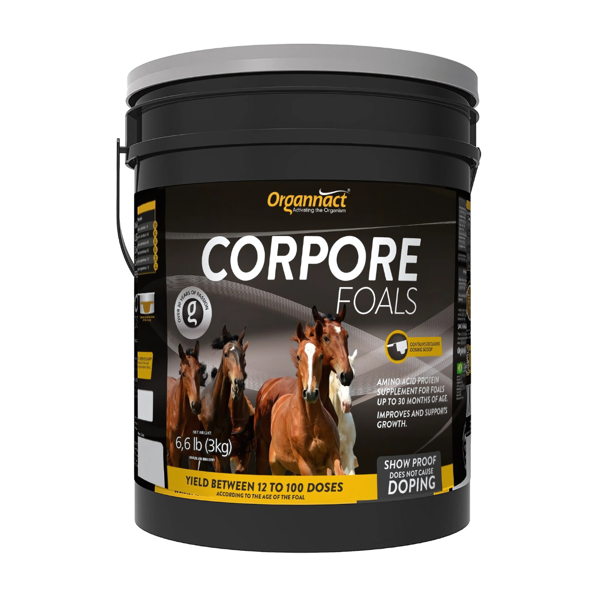  Organnact Corpore Foals Horse Supplement by organnact