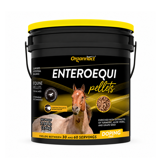 Organnact Enteroequi Horse Supplement | Advanced Digestive & Gut Health Support | Vanilla Flavored Pellets | Gastrointestinal Balance for Horses