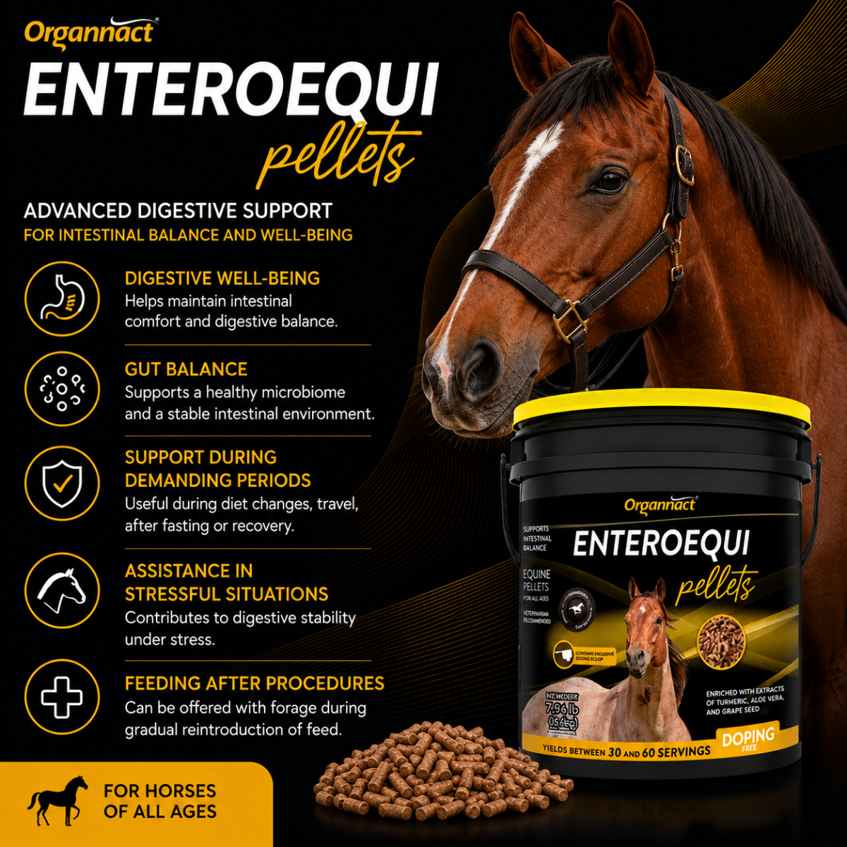 Organnact Enteroequi Horse Supplement | Advanced Digestive & Gut Health Support | Vanilla Flavored Pellets | Gastrointestinal Balance for Horses