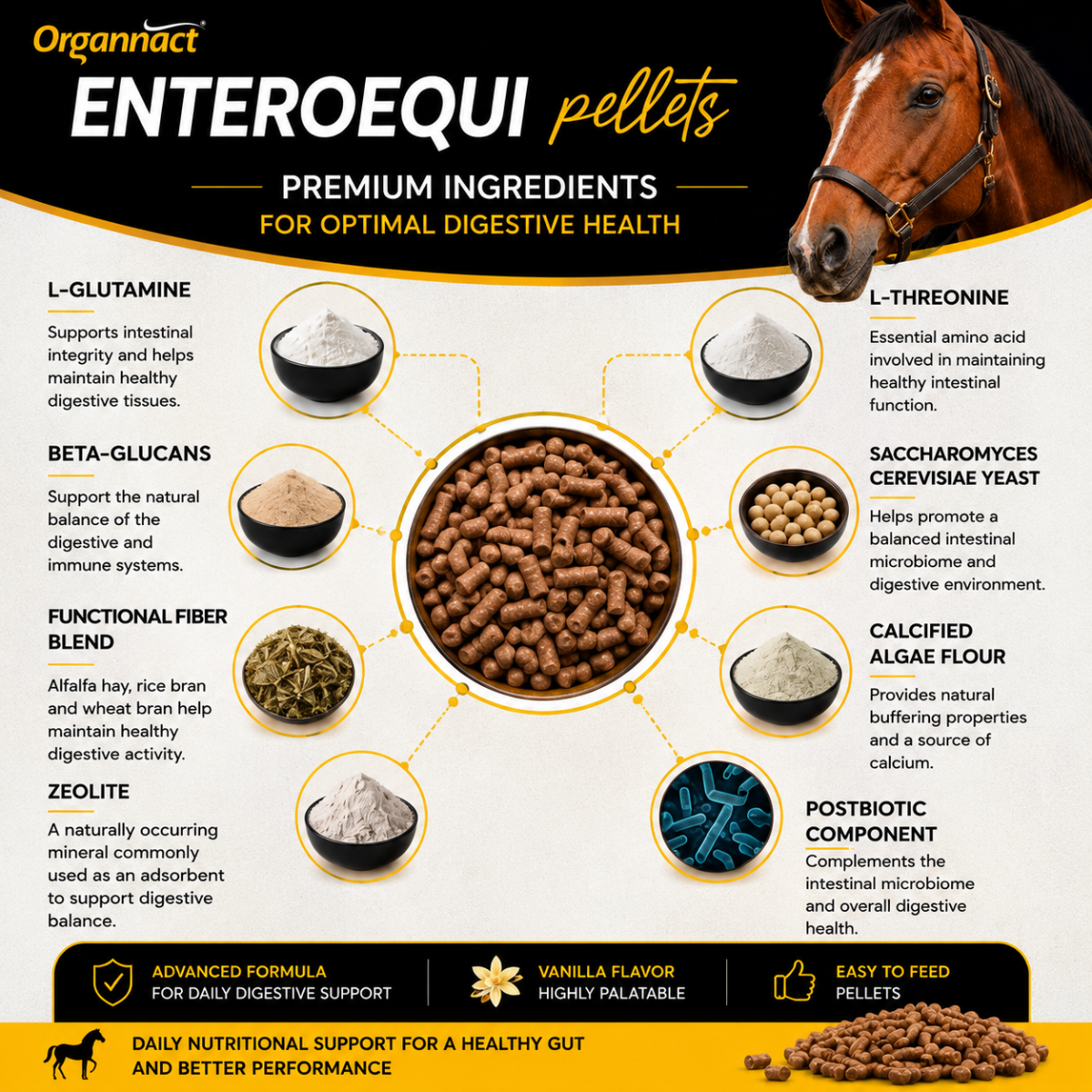 Organnact Enteroequi Horse Supplement | Advanced Digestive & Gut Health Support | Vanilla Flavored Pellets | Gastrointestinal Balance for Horses