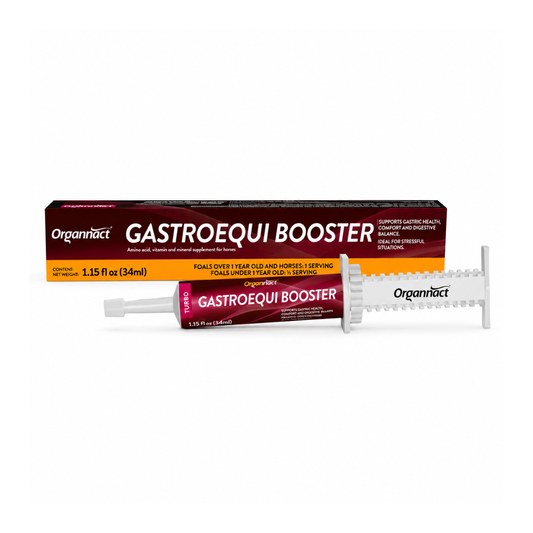 Organnact Gastroequi Booster Horse Supplement | Fast Gastric Support & Digestive Comfort | Single-Dose Oral Paste | Vanilla Flavor