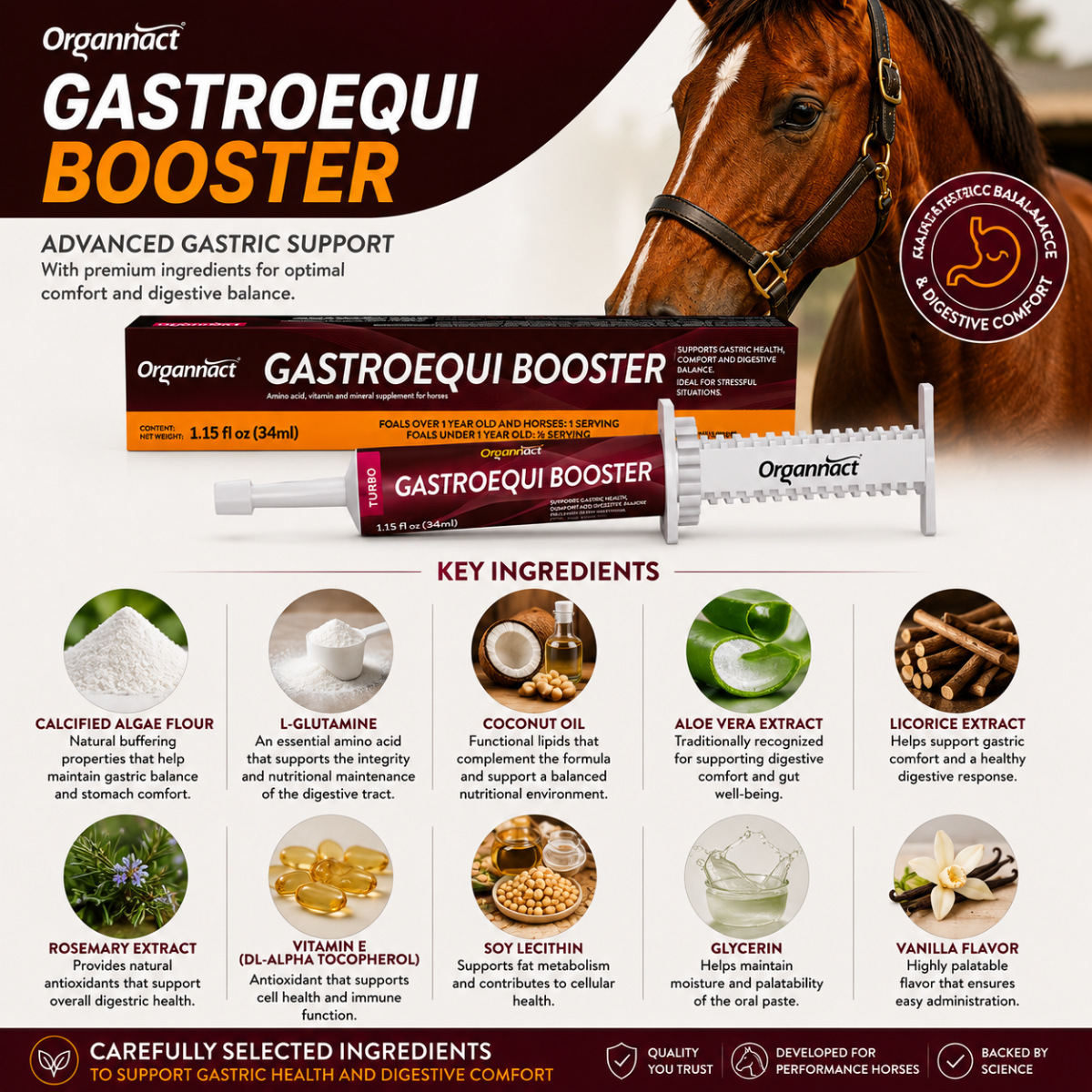 Organnact Gastroequi Booster Horse Supplement | Fast Gastric Support & Digestive Comfort | Single-Dose Oral Paste | Vanilla Flavor