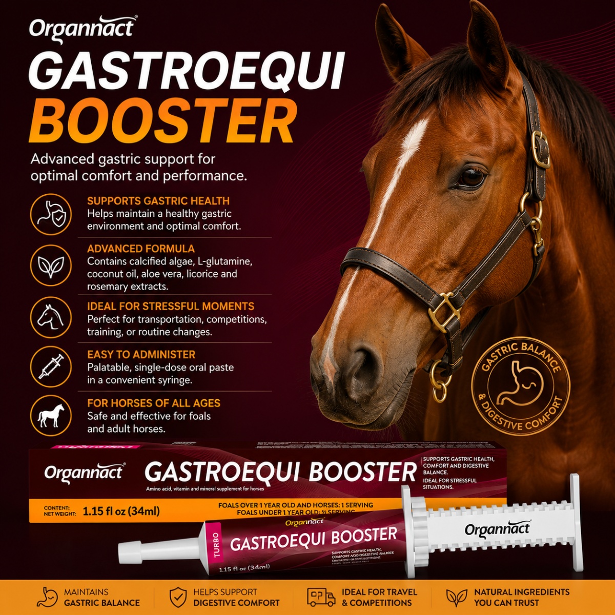 Organnact Gastroequi Booster Horse Supplement | Fast Gastric Support & Digestive Comfort | Single-Dose Oral Paste | Vanilla Flavor