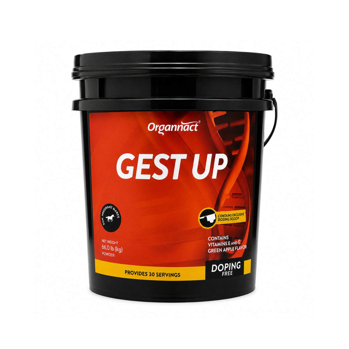 Organnact Gest UP Horse Supplement – Late Gestation Support for Pregnant Mares, Foal Readiness, Gut & Immune Support – Green Apple Powder, 30 Doses